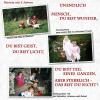 images/album/12.jpg